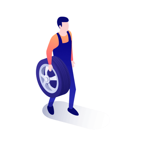 Professional Mechanic